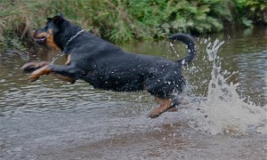 River Play!